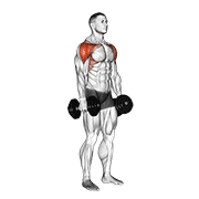 Animación de dumbbell lateral to front raise