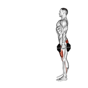 Animación de dumbbell lunge
