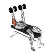 Animación de dumbbell lying extension (across face)