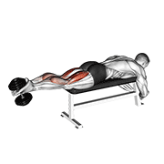 Animación de dumbbell lying femoral