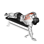 Animación de dumbbell lying one arm deltoid rear