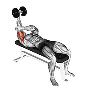 Animación de dumbbell lying one arm pronated triceps extension