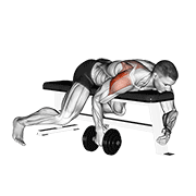 Animación de dumbbell lying one arm rear lateral raise