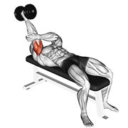 Animación de dumbbell lying one arm supinated triceps extension