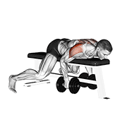 Animación de dumbbell lying rear lateral raise