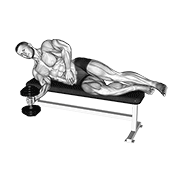 Animación de dumbbell lying supination