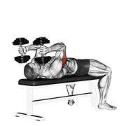 Animación de dumbbell lying triceps extension