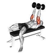Animación de dumbbell neutral grip bench press