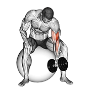 Animación de dumbbell one arm concentration curl (on stability ball)