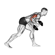 Animación de dumbbell one arm kickback