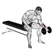 Animación de dumbbell one arm reverse wrist curl