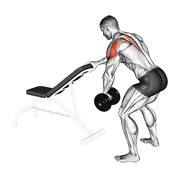 Animación de dumbbell one arm reverse fly (with support)