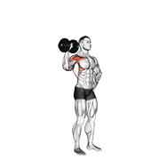 Animación de dumbbell one arm shoulder press v. 2