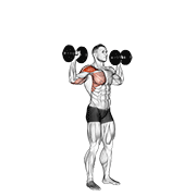 Animación de dumbbell one arm shoulder press
