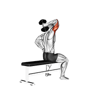 Animación de dumbbell one arm triceps extension (on bench)