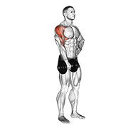 Animación de dumbbell one arm upright row