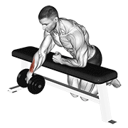 Animación de dumbbell over bench one arm wrist curl