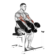 Animación de dumbbell peacher hammer curl