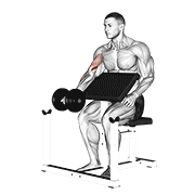 Animación de dumbbell preacher curl