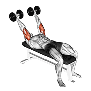 Animación de dumbbell pronate-grip triceps extension