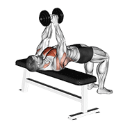 Animación de dumbbell pullover
