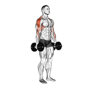 Animación de dumbbell raise