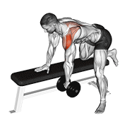 Animación de dumbbell rear delt row_shoulder