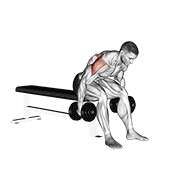 Animación de dumbbell rear fly