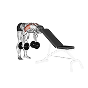 Animación de dumbbell rear lateral raise (support head)
