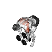 Animación de dumbbell rear lateral raise