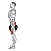 Animación de dumbbell rear lunge
