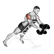 Animación de dumbbell reverse fly
