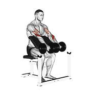 Animación de dumbbell reverse preacher curl