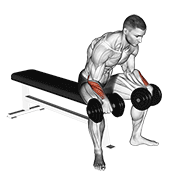 Animación de dumbbell reverse wrist curl