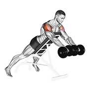 Animación de dumbbell rotation reverse fly