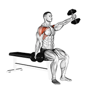 Animación de dumbbell seated alternate front raise