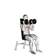 Animación de dumbbell seated alternate press