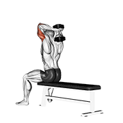 Animación de dumbbell seated bench extension