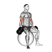 Animación de dumbbell seated biceps curl (on stability ball)