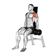 Animación de dumbbell seated front raise