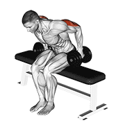 Animación de dumbbell seated kickback