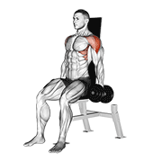 Animación de dumbbell seated lateral raise v. 2