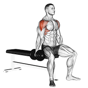 Animación de dumbbell seated lateral raise