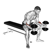 Animación de dumbbell seated neutral wrist curl