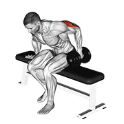 Animación de dumbbell seated one arm kickback
