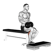 Animación de dumbbell seated one leg calf raise
