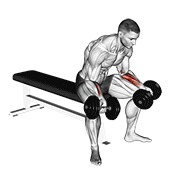 Animación de dumbbell seated palms up wrist curl