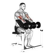 Animación de dumbbell seated preacher curl