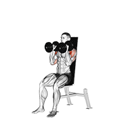 Animación de dumbbell seated shoulder press (parallel grip)