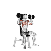 Animación de dumbbell seated shoulder press
